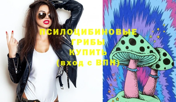 jwh Новозыбков