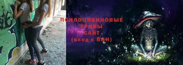 jwh Новозыбков
