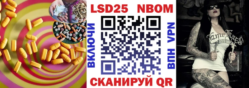 сколько стоит  MEGA ссылки  LSD-25 экстази кислота  Шадринск 
