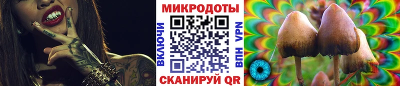 цены наркотик Шадринск Галлюциногенные грибы Psilocybe
