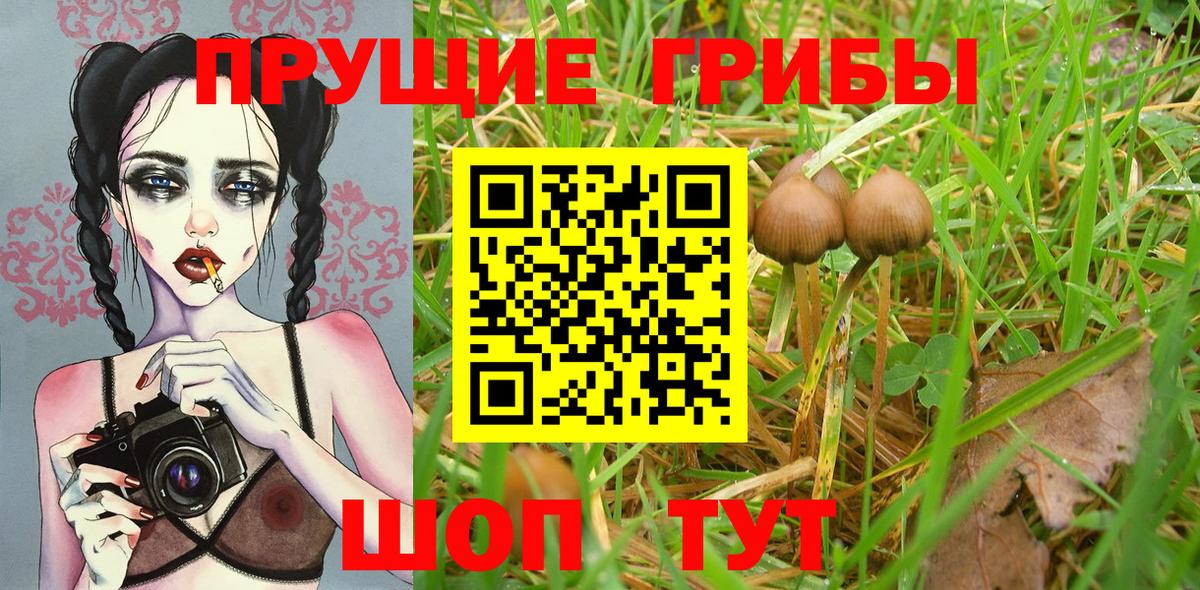 Галлюциногенные грибы мухоморы Шадринск