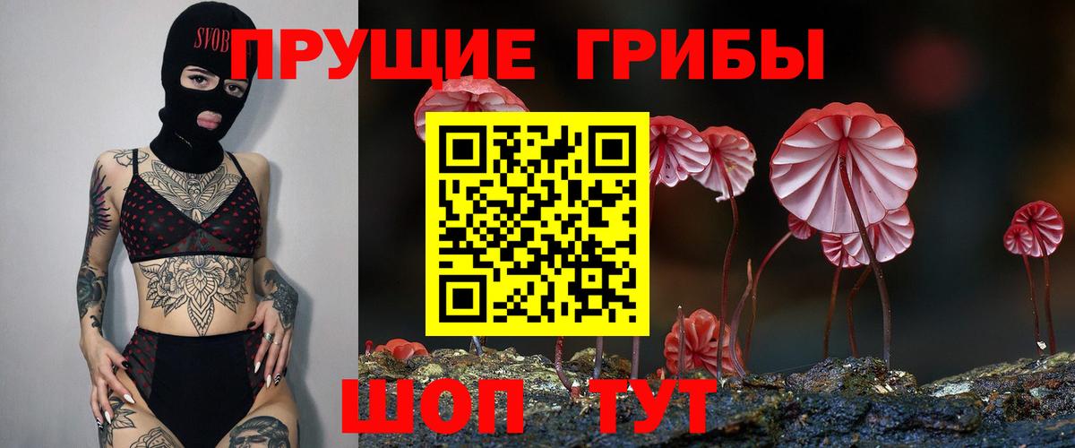Псилоцибиновые грибы GOLDEN TEACHER Шадринск