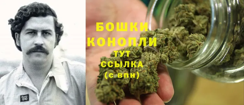 Шишки марихуана THC 21%  Шадринск 