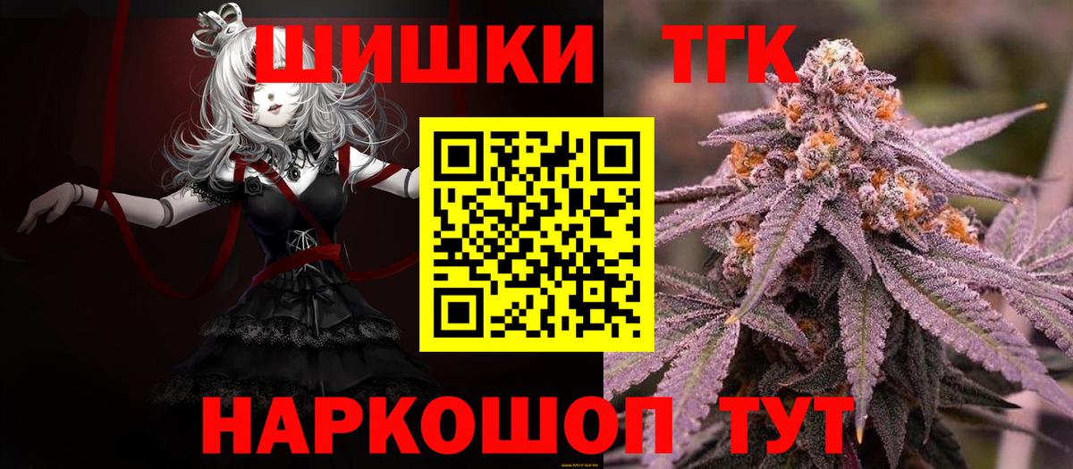 МАРИХУАНА план  МАРИХУАНА ГИДРОПОН  Шадринск 