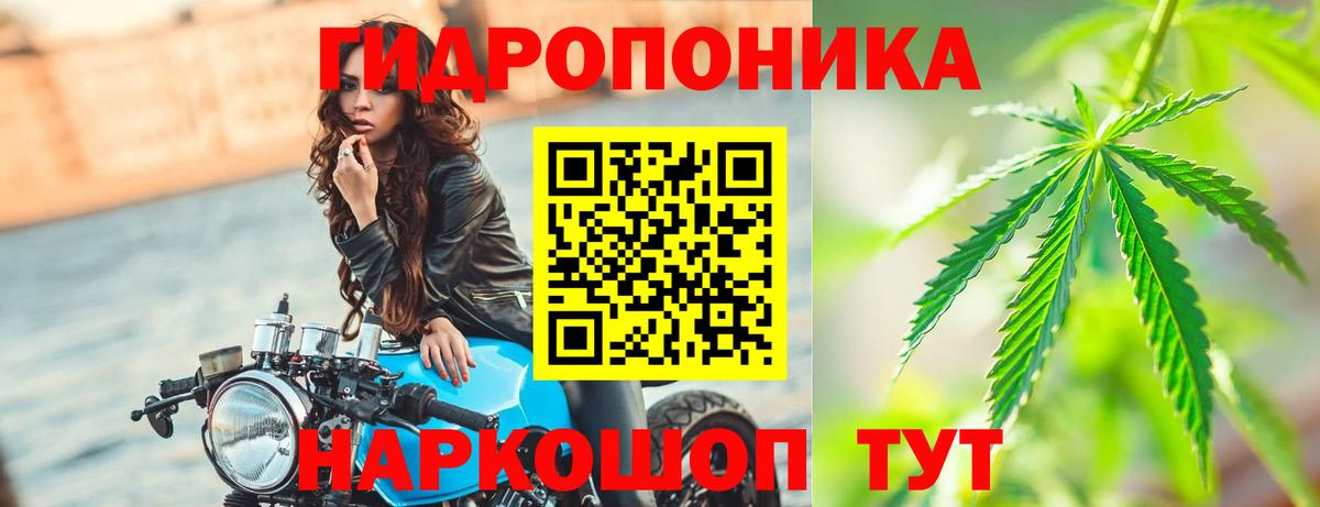 Шишки марихуана гибрид Шадринск